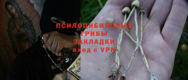 первитин Арсеньев
