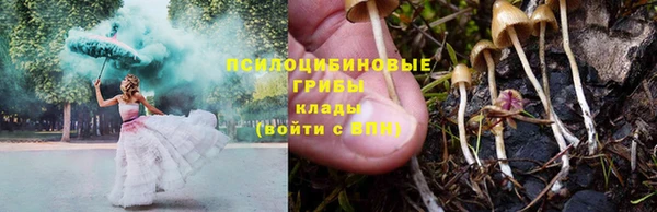 первитин Арсеньев