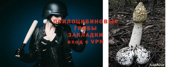 шишки Алзамай