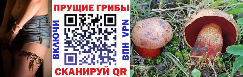 Псилоцибиновые грибы мухоморы Константиновск